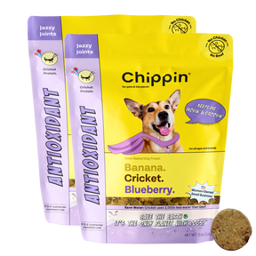 Chippin - Antioxidant (Banana-Cricket-Blueberry) Dog Treat