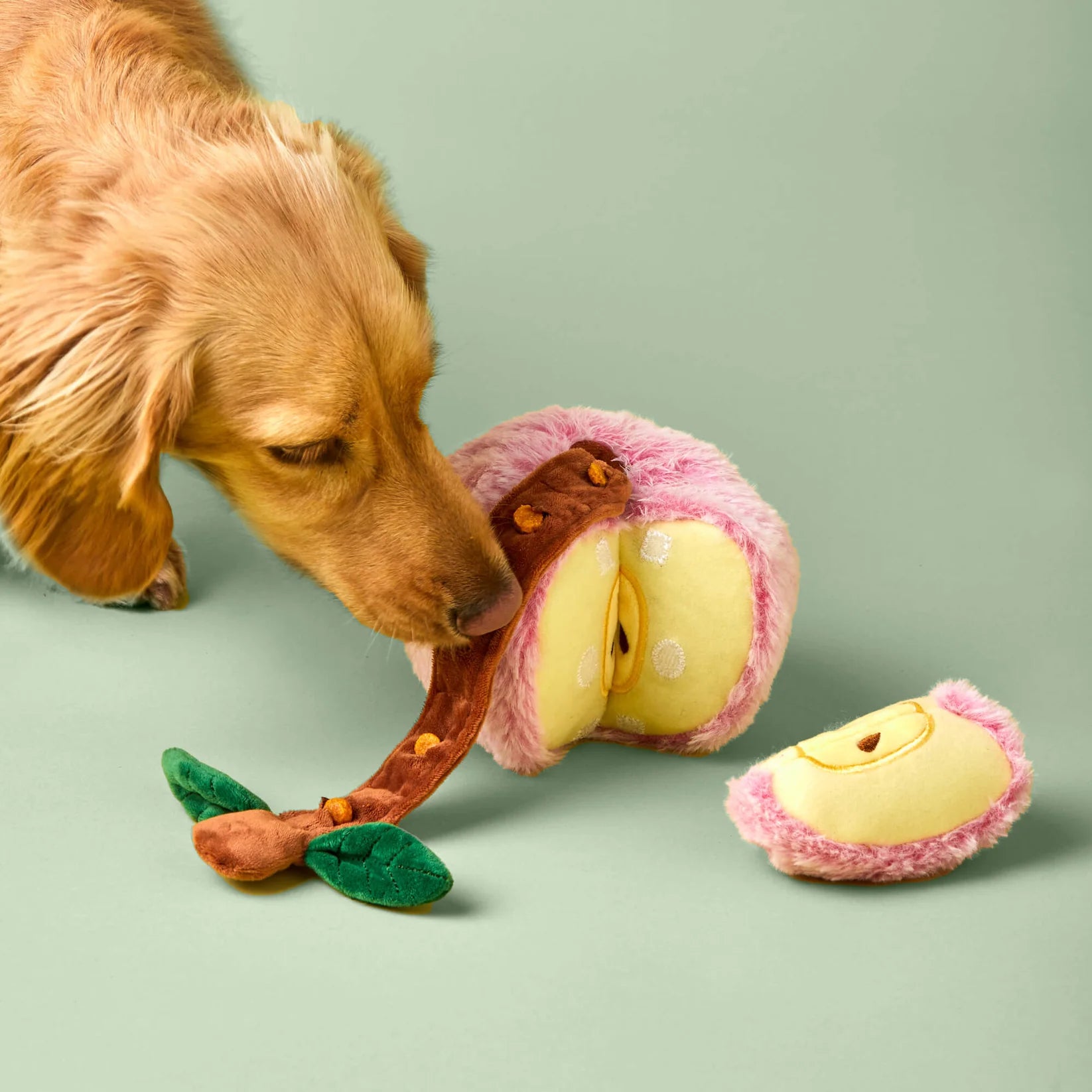 Dog Toy Apple Interactive Snuffle