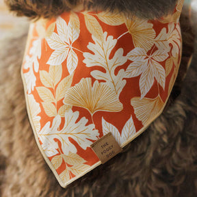 Bandana Dog Autumn Leaves