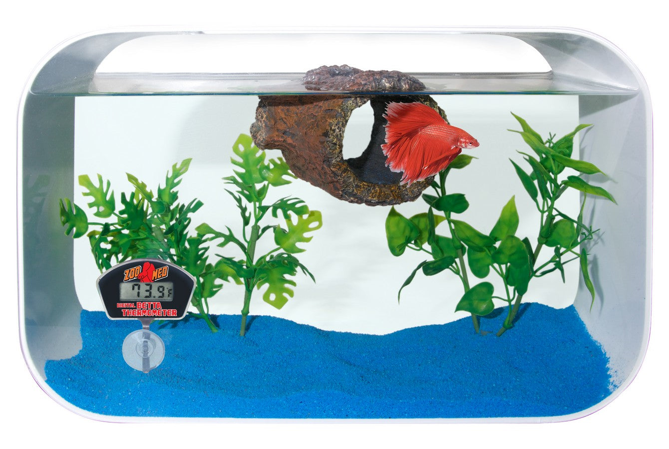 Thermometer Digital Betta