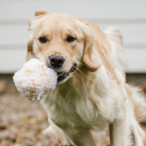 Huggle Hounds - HuggleFleece Ball