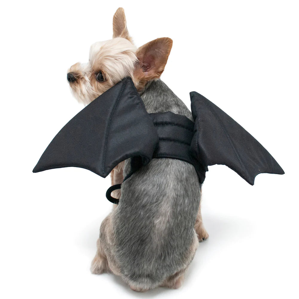 Dogo Pet - Bat Wings Costume