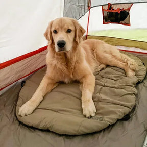 Carolina Pet - Bed 'n Bag On The GO Travel Dog Bed