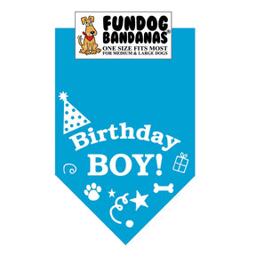 Dog Bandana Birthday Boy