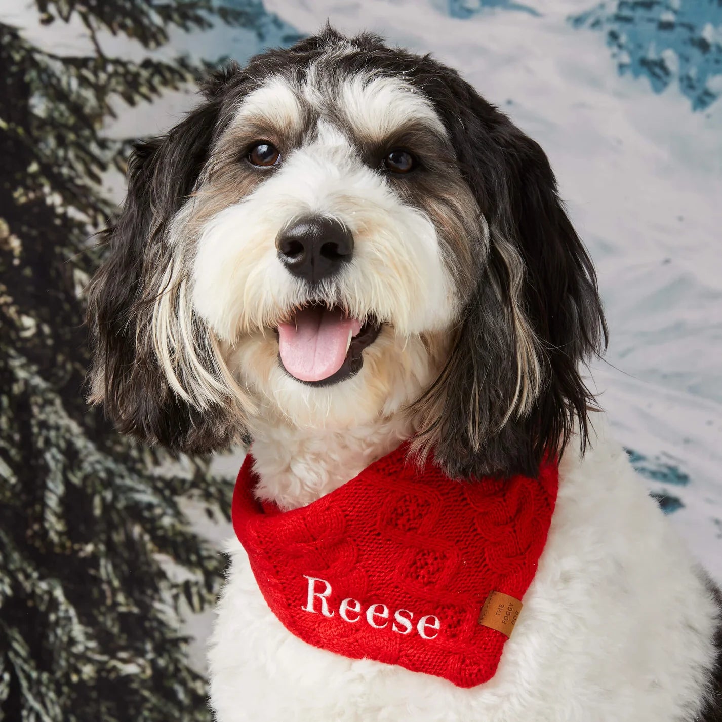 Dog Bandana Cable Knit