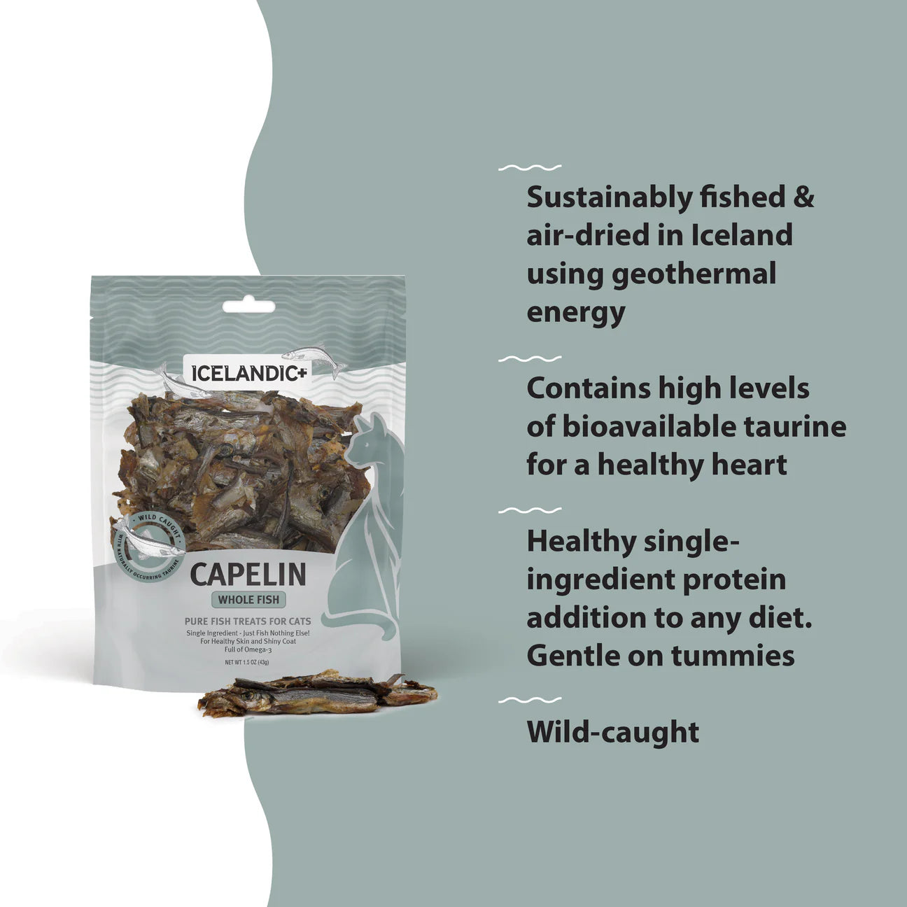 Icelandic+ - Capelin Whole Fish & Pieces Cat Treats