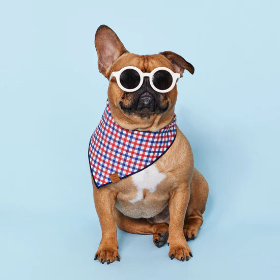 Foggy Dog Bandana Dog Americana