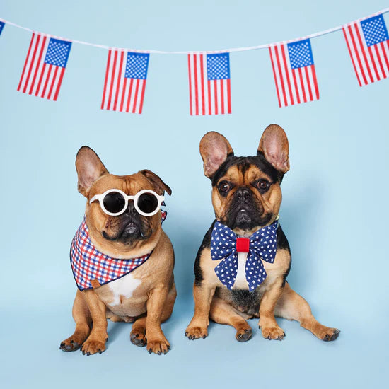 Foggy Dog Bandana Dog Americana