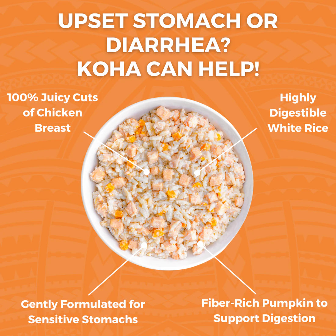 KOHA Bland Diet Chicken & Rice Pouches Wet Dog Food