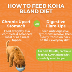 KOHA Bland Diet Beef & Rice Pouches Wet Dog Food