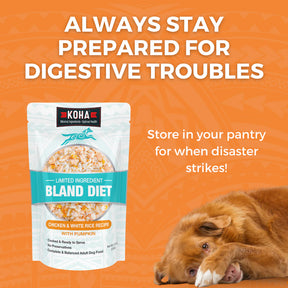 KOHA Bland Diet Beef & Rice Pouches Wet Dog Food