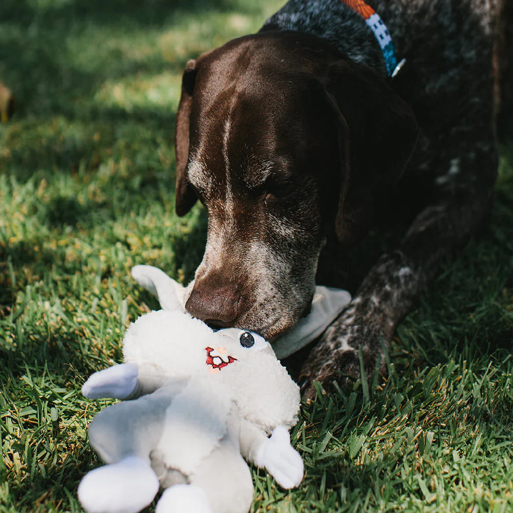 Buckle Down - Dog Toy Bugs Bunny Full Body