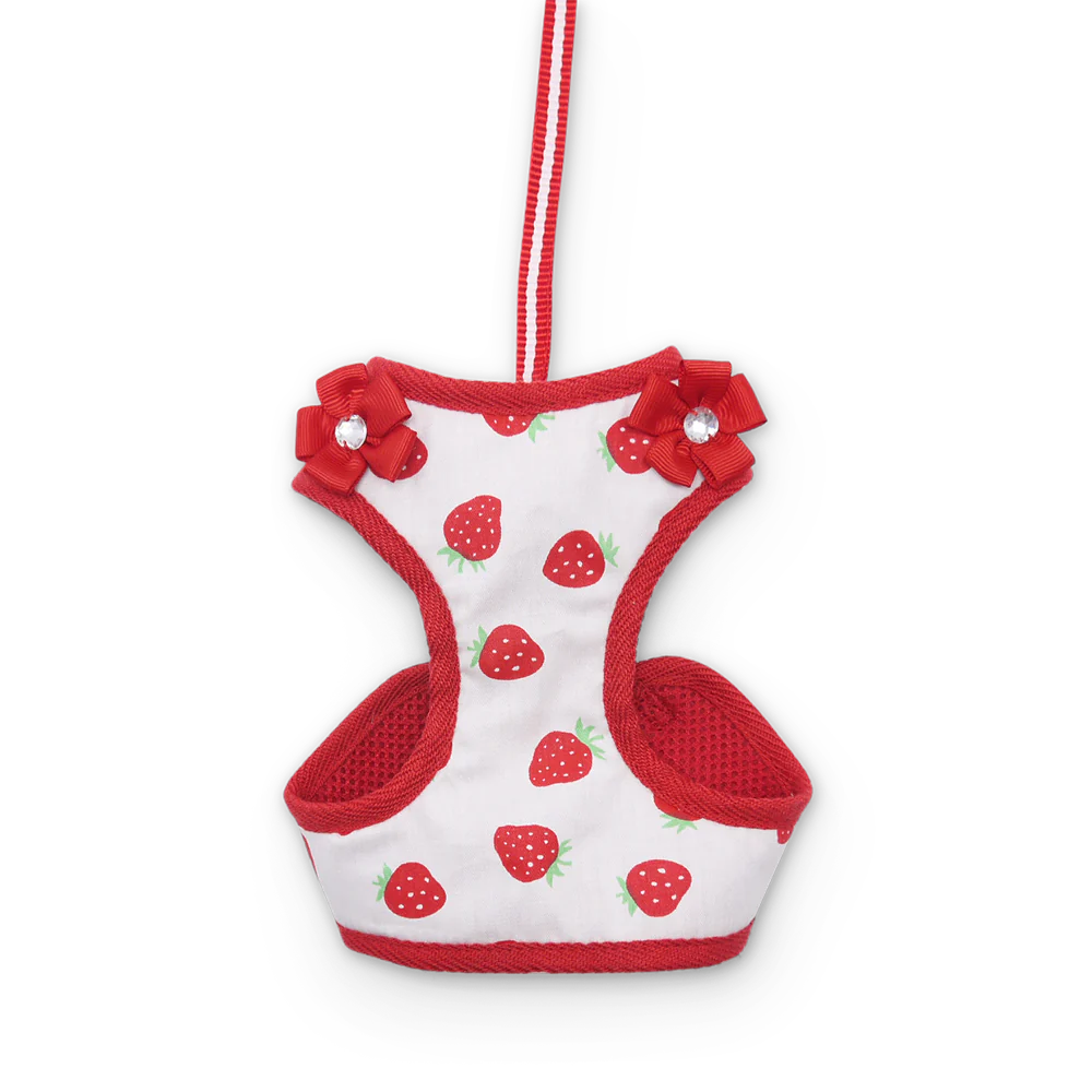 Dogo Pet -  EasyGo Strawberry Harness & Lead