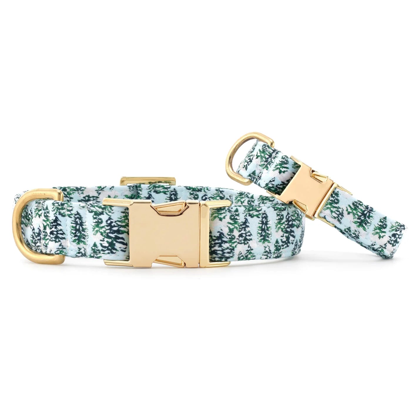 Dog Collar Gray Malin with Trees