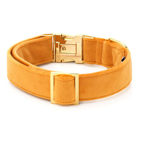 Dog Collar Honey Velvet