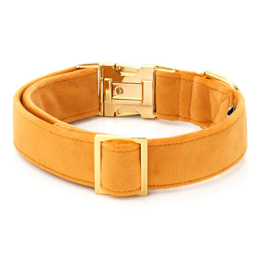 Dog Collar Honey Velvet