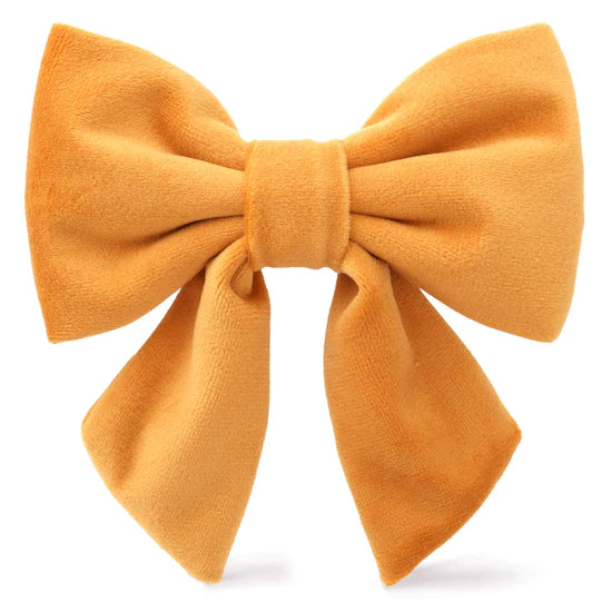 Dog Bow Honey Velvet Fall Lady