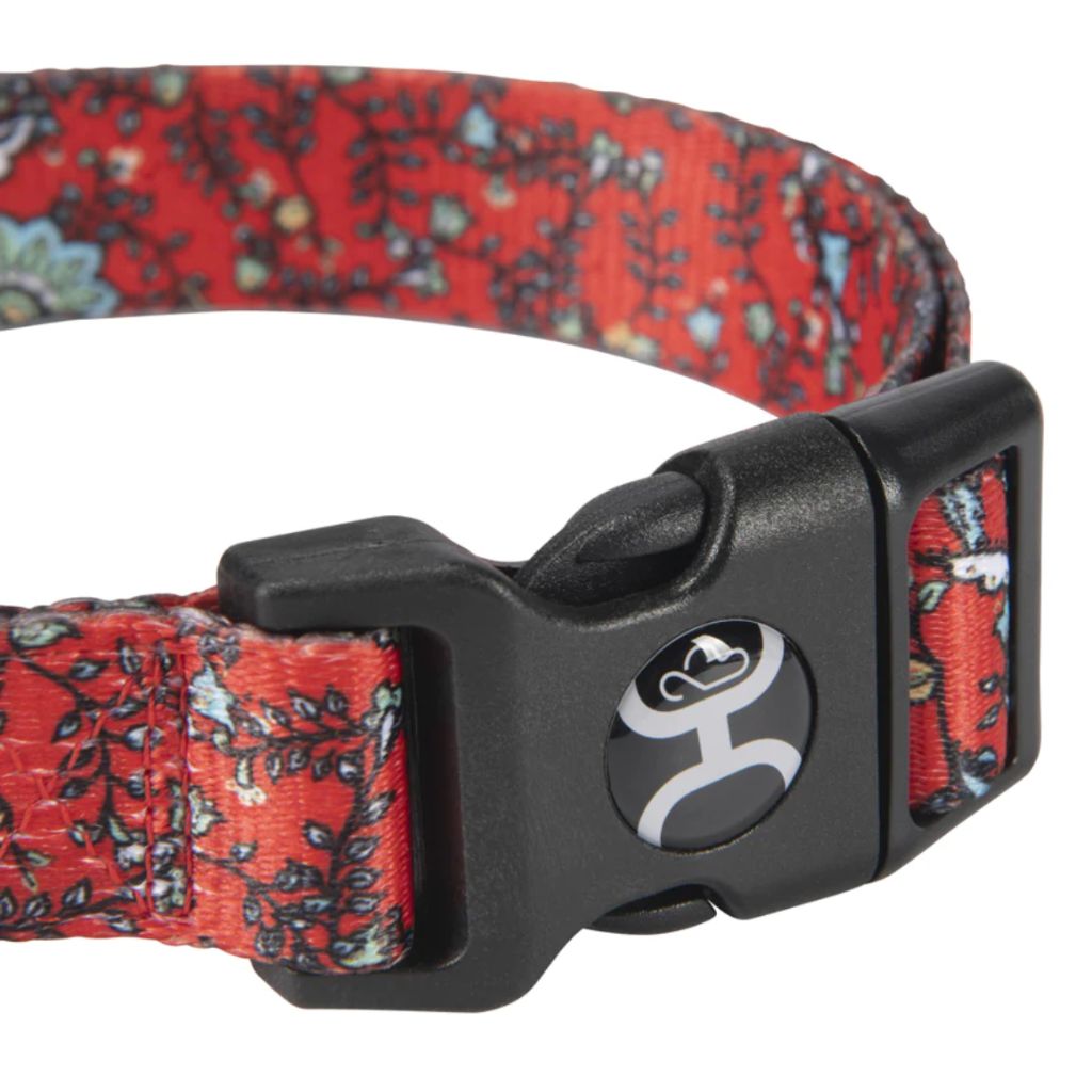 Hooey Pet Nomad Collar Western Floral