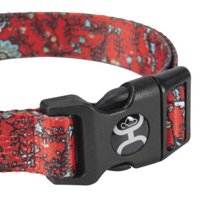 Hooey Pet Nomad Collar Western Floral