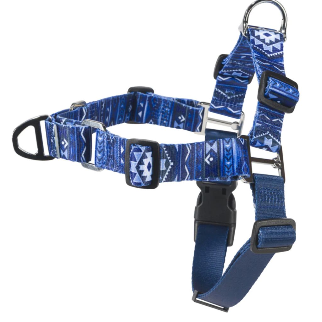 Hooey Pet Walking Harness - Ombre Aztec