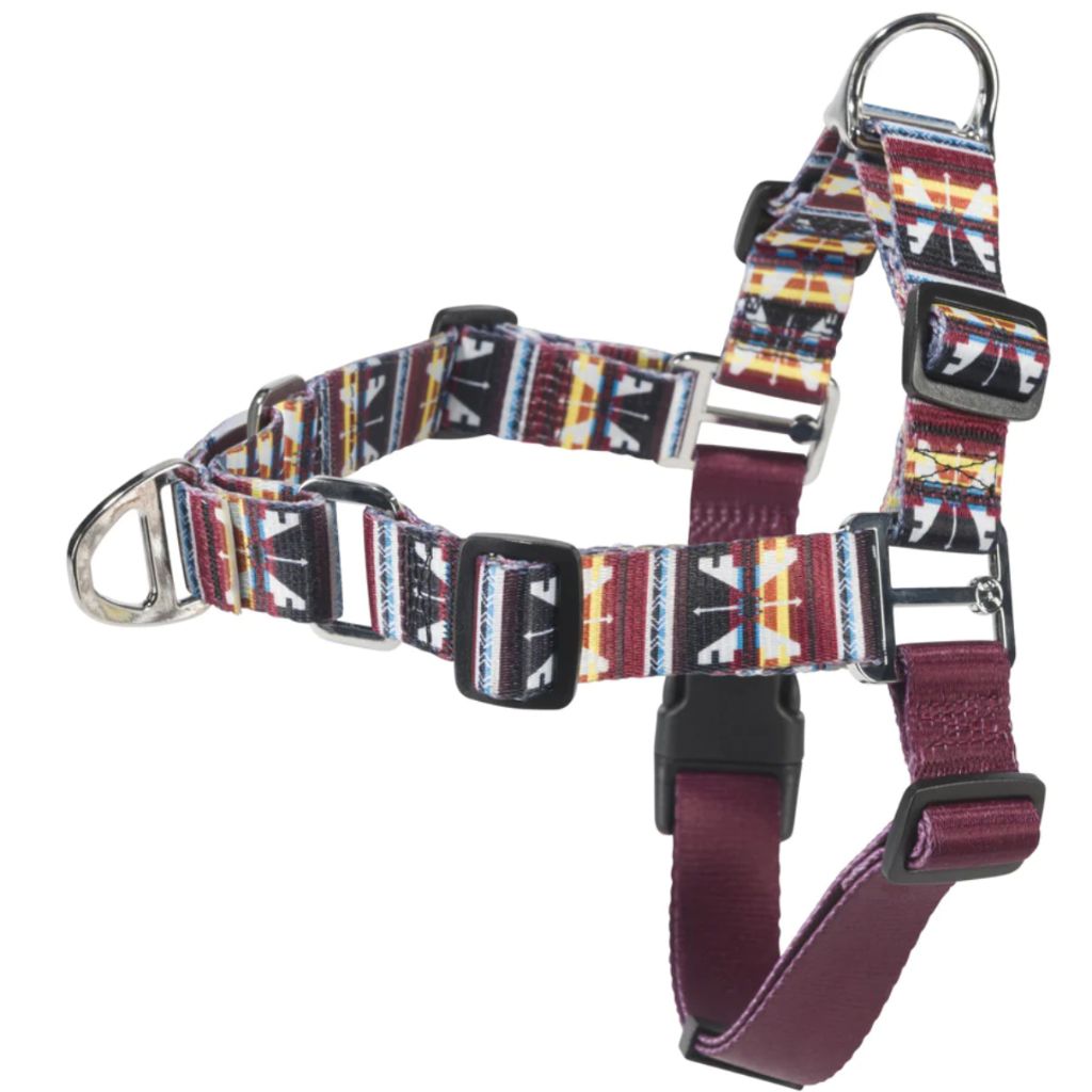 Hooey Pet Walking Harness - Totem