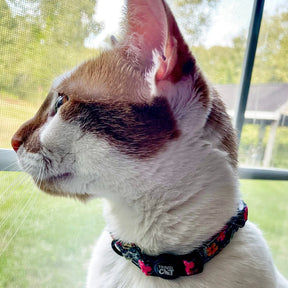Breakaway Cat Collar "The Travel Cat"