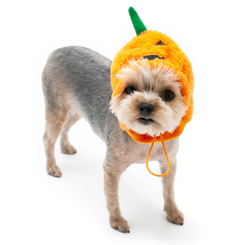 Dogo Pet - Jack O Hat Costume