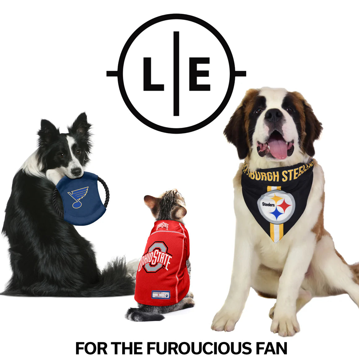 KC Chiefs Team Pet Lead