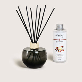 Reed Diffuser + Refill Gift Set - Amber Powder