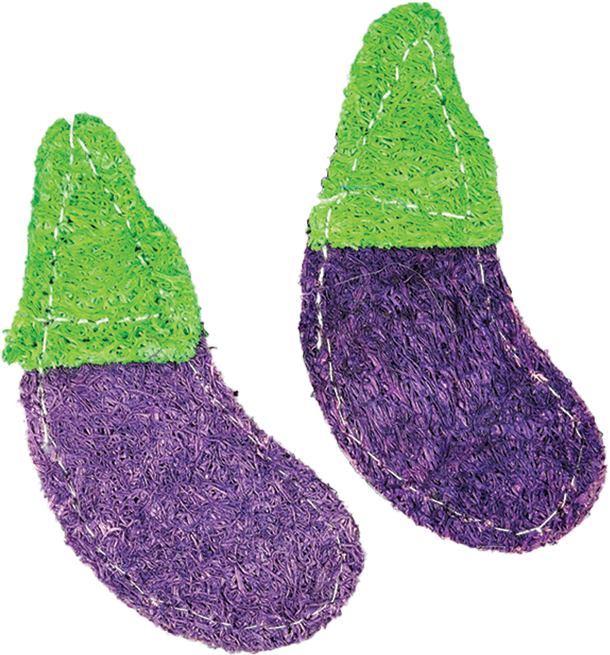 A & E Cage Company - Nibbles Small Animal Loofah Chew Toy, Eggplants