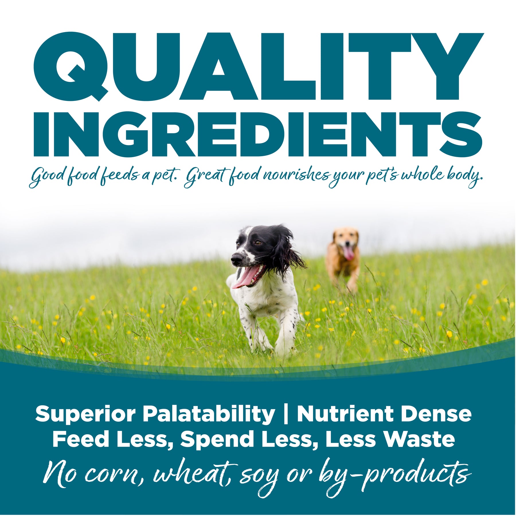 NutriSource - All Breeds, Adult Dog Chicken & Rice Recipe Dry Dog Food