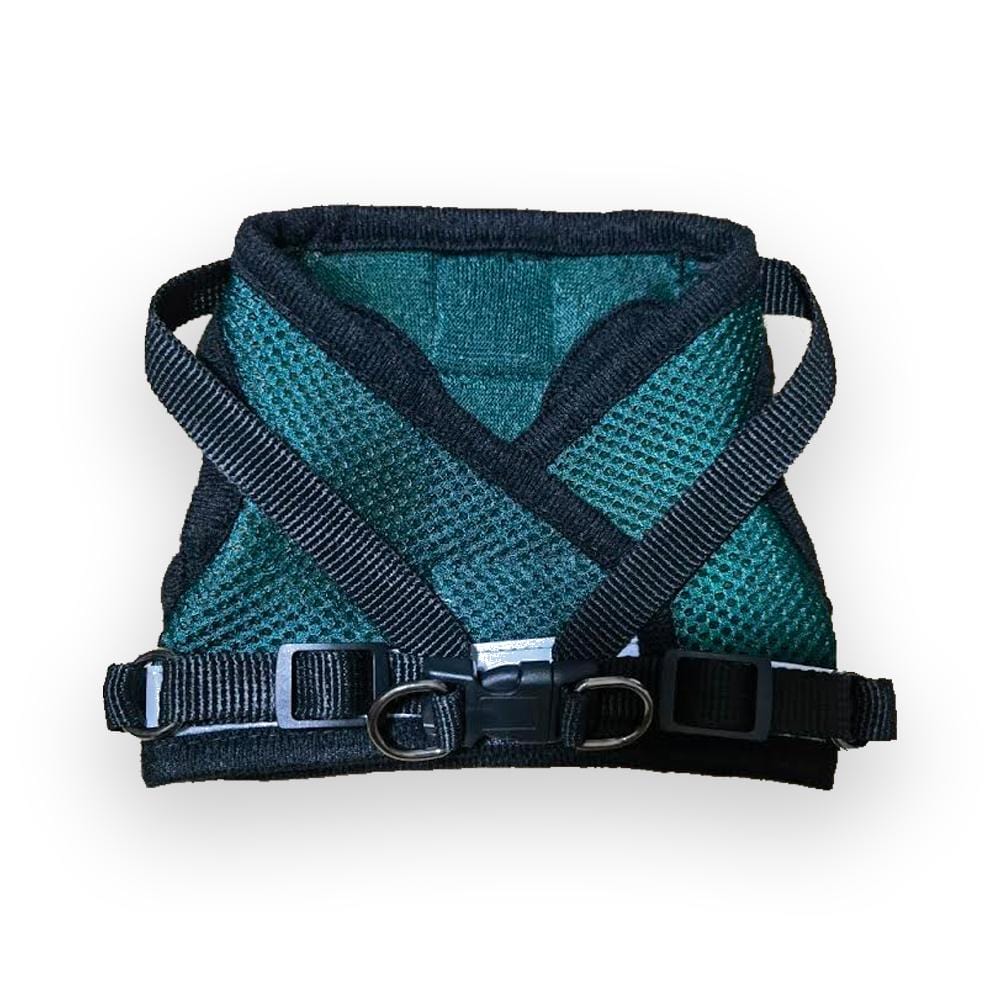 Harness & Leash Set-"The Emerald Explorer"