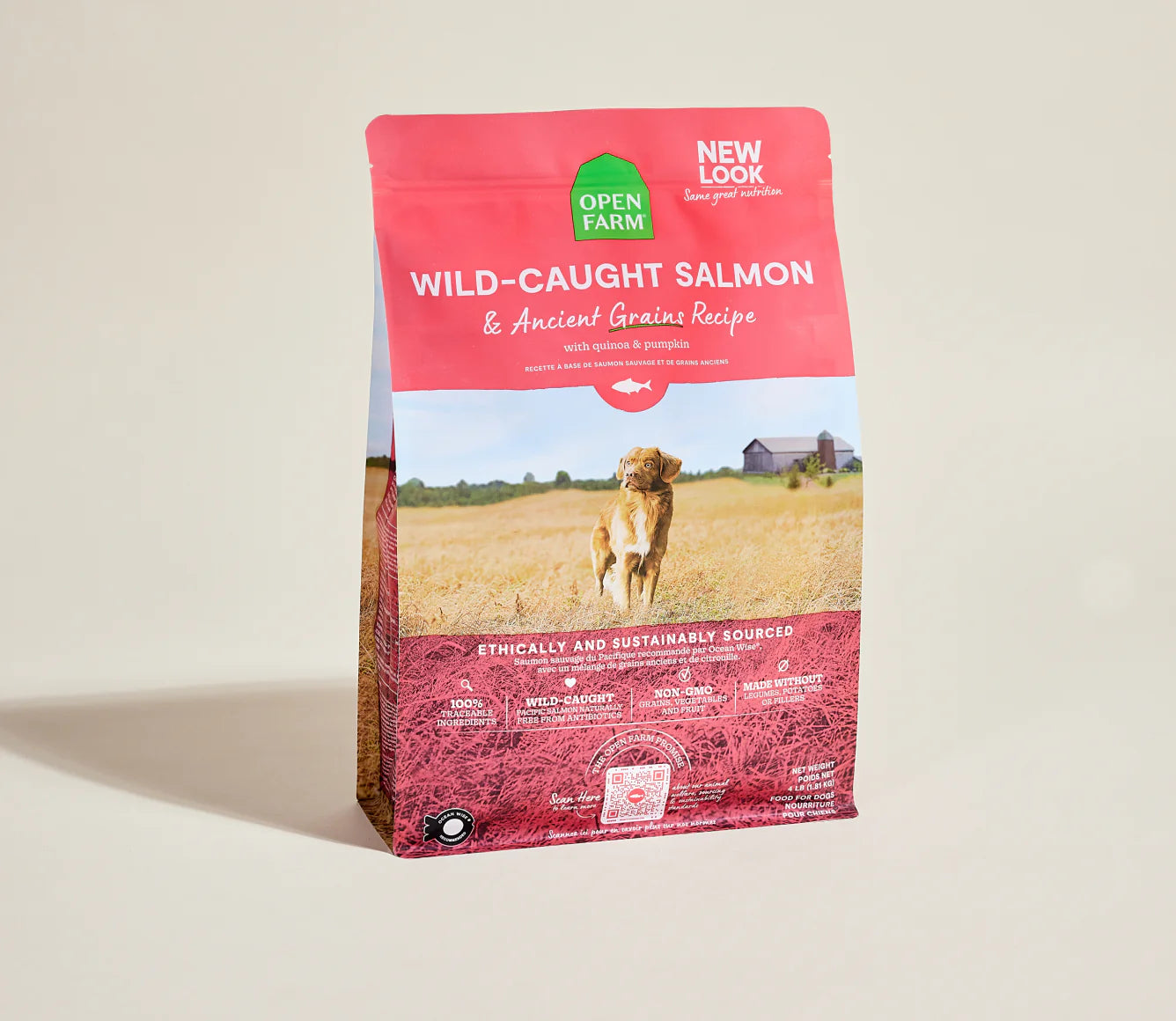 Wild Caught Salmon & Ancient Grains Dry Dog Food