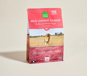 Wild Caught Salmon & Ancient Grains Dry Dog Food