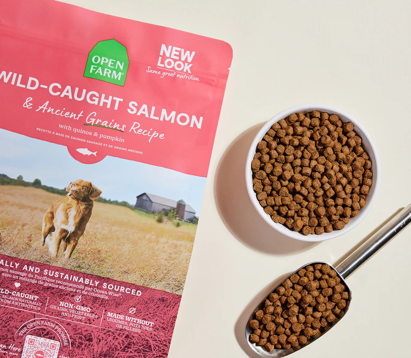 Wild Caught Salmon & Ancient Grains Dry Dog Food