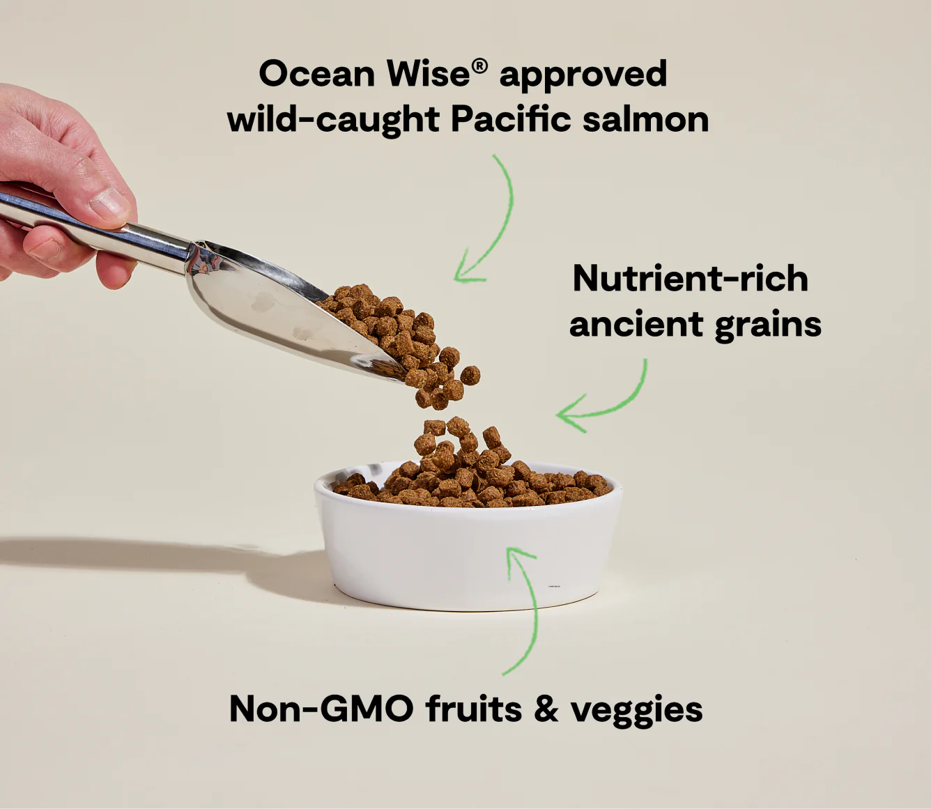 Wild Caught Salmon & Ancient Grains Dry Dog Food