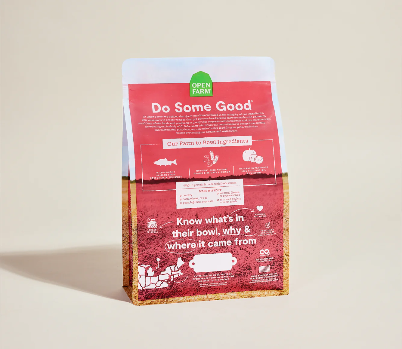Wild Caught Salmon & Ancient Grains Dry Dog Food