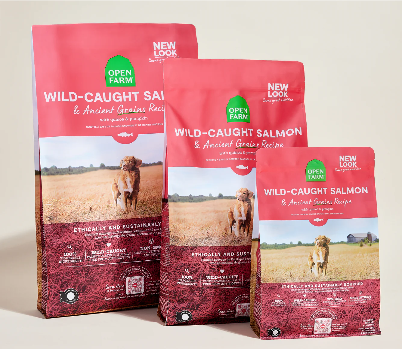 Wild Caught Salmon & Ancient Grains Dry Dog Food