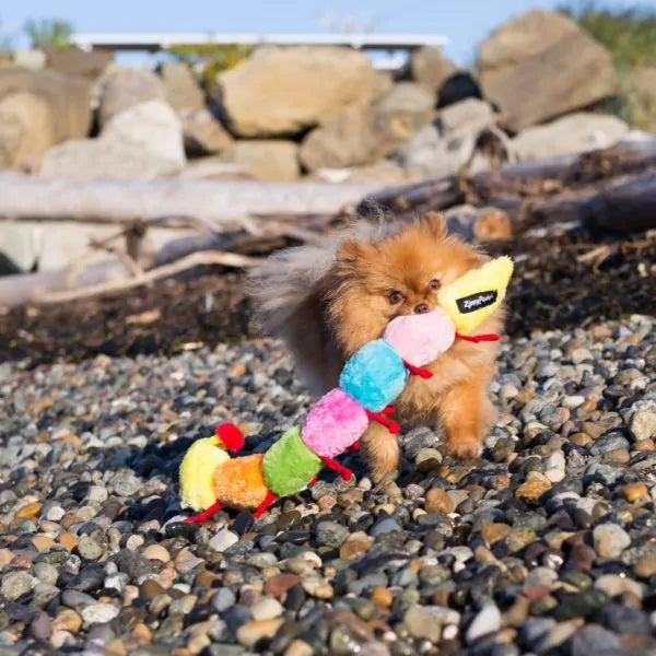 ZippyPaws - Zippy Caterpillar with 7 Squeakers