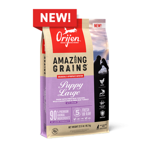 Champion Petfoods Orijen - Orijen Amazing Grains Puppy	Large Breed Dog Food