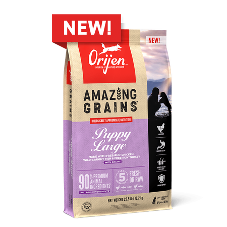 Champion Petfoods Orijen - Orijen Amazing Grains Puppy	Large Breed Dog Food