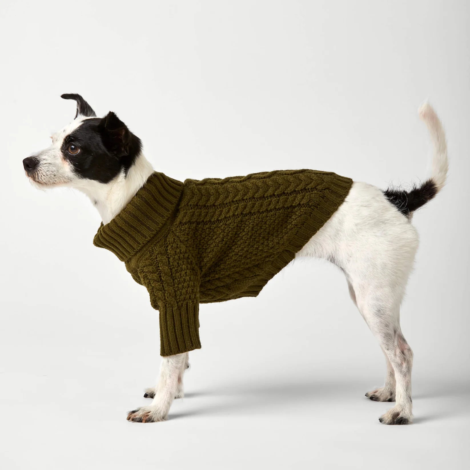 Dog Sweater Cable Knit Olive