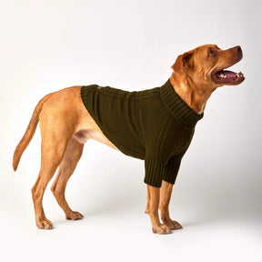 Dog Sweater Cable Knit Olive