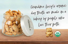 Grandma Lucy's - Organic Baked Gingerbread Dog Treats