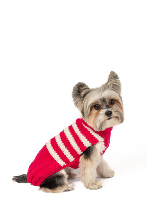 Dog Sweater Alpaca Katie Stripe