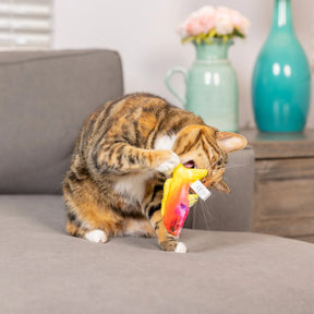 Huxley & Kent - Cat Toy Rainbow Guppy