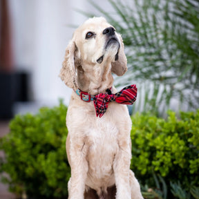 Huxley & Kent - Bow Tie Royal Tartan