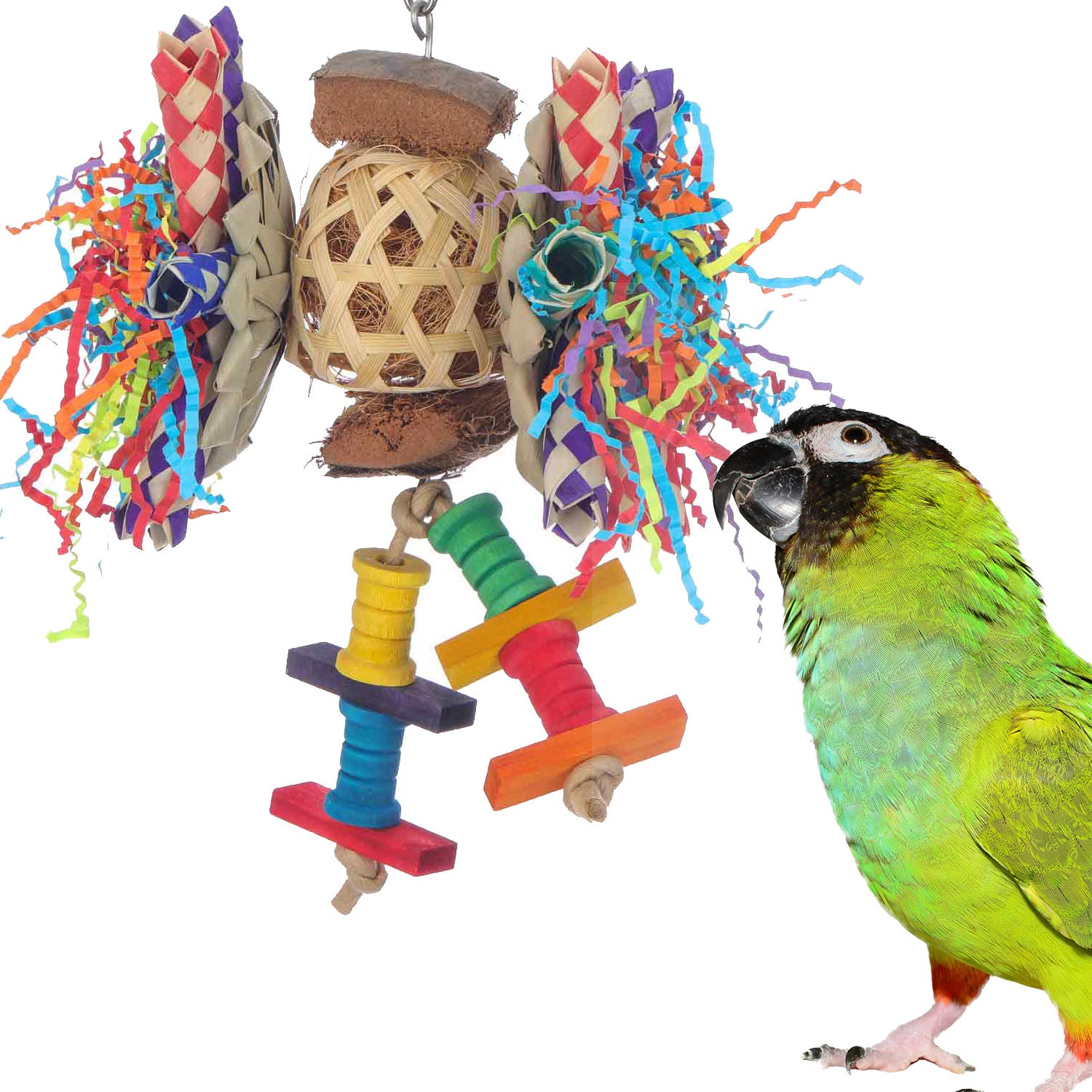 Frizzy Lizzy Bird Toy