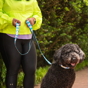 Scout Dog Leash