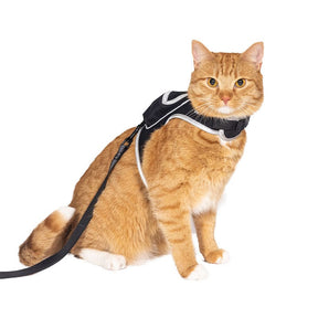 Cat Harness & Leash Set - Stray x Travel Edition